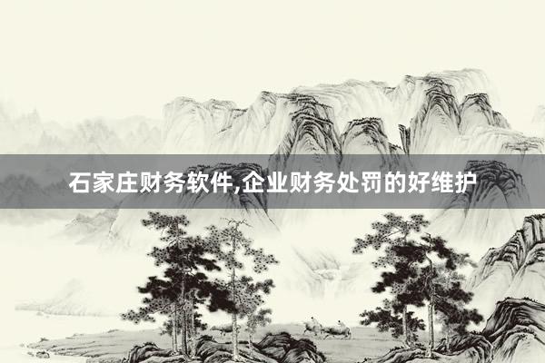 石家庄财务软件，企业财务处罚的好维护