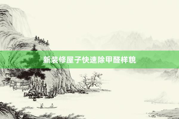 新装修屋子快速除甲醛样貌